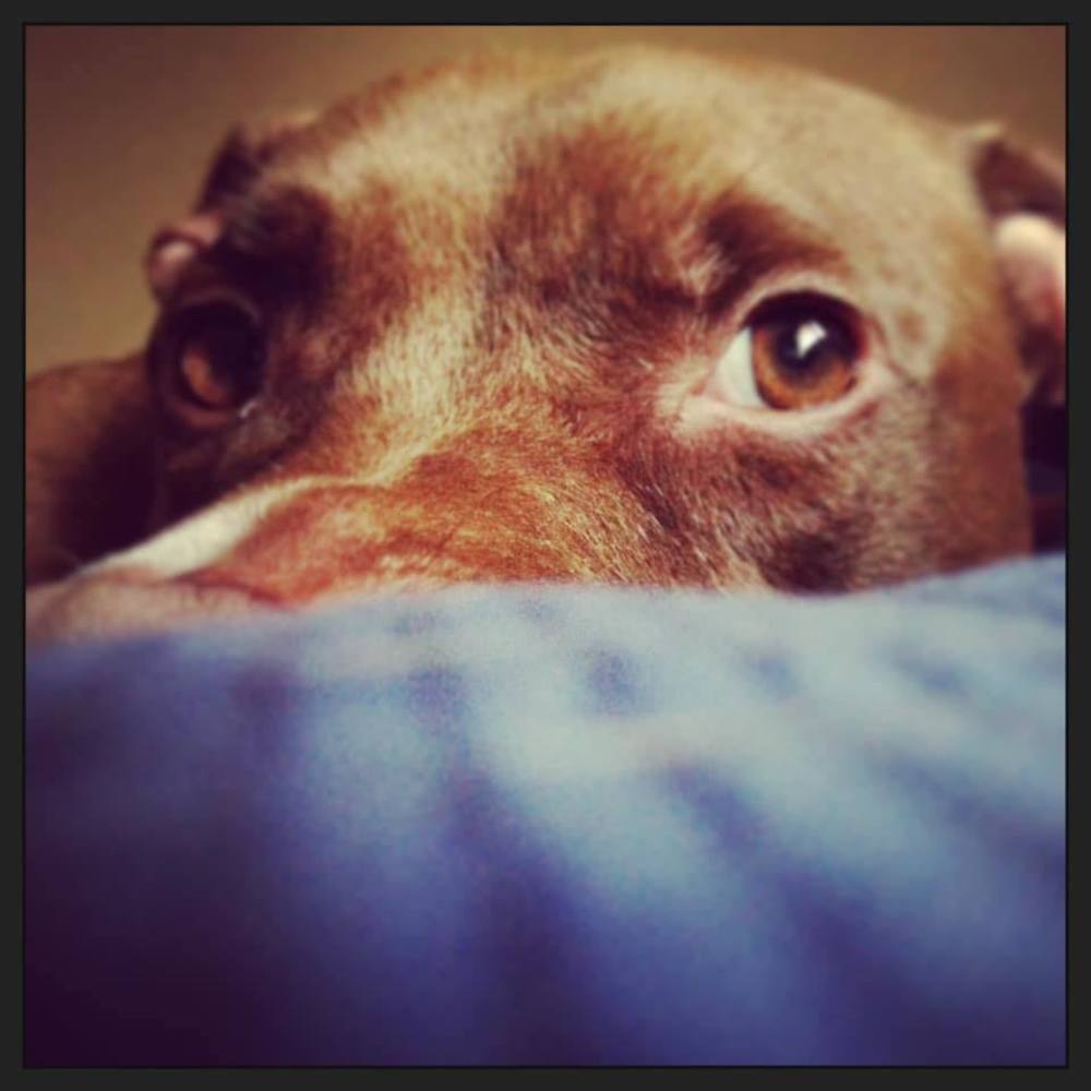 Meet your Posher, Kristin